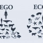 Ekonomia ekologikoaz