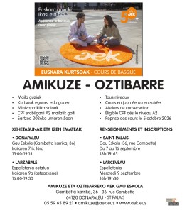 Izen-emateak gau eskolan